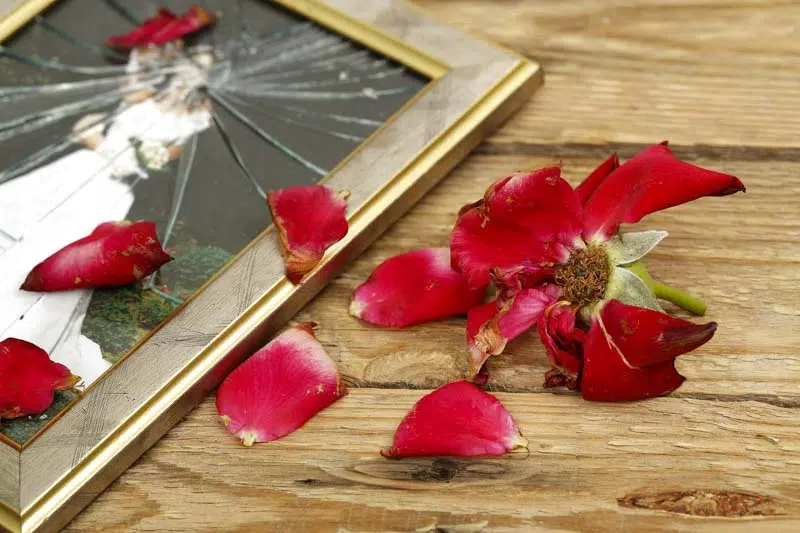 Divorcing When You Own a Business | Bloom Law Office, Family Attorney