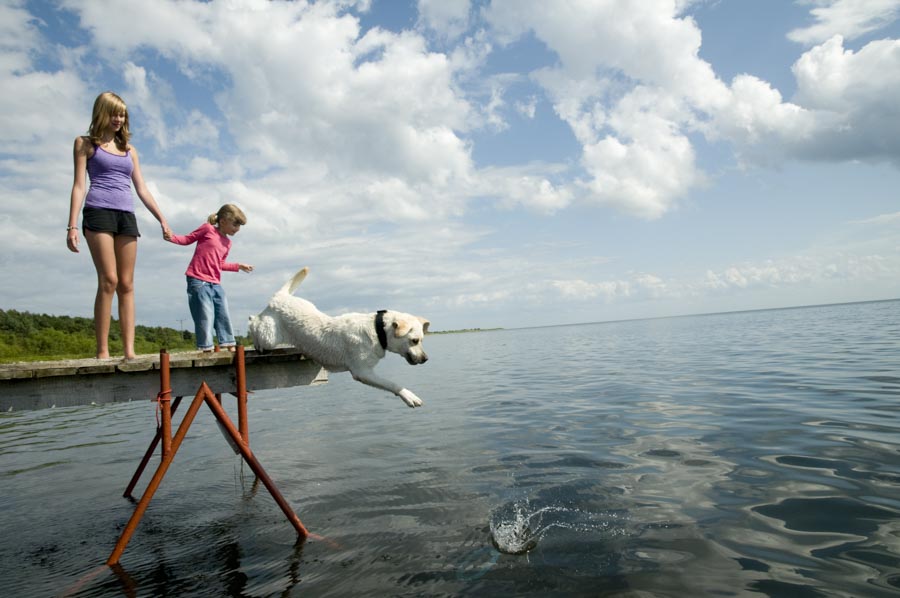 “Best Interests of the Child” Standard | Bloom Law Office, West New York
