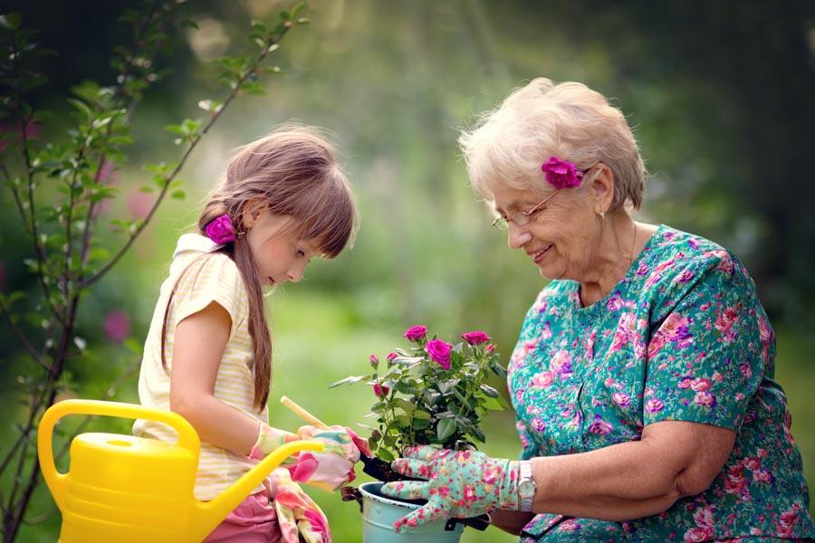 Grandparents' Rights Attorney
