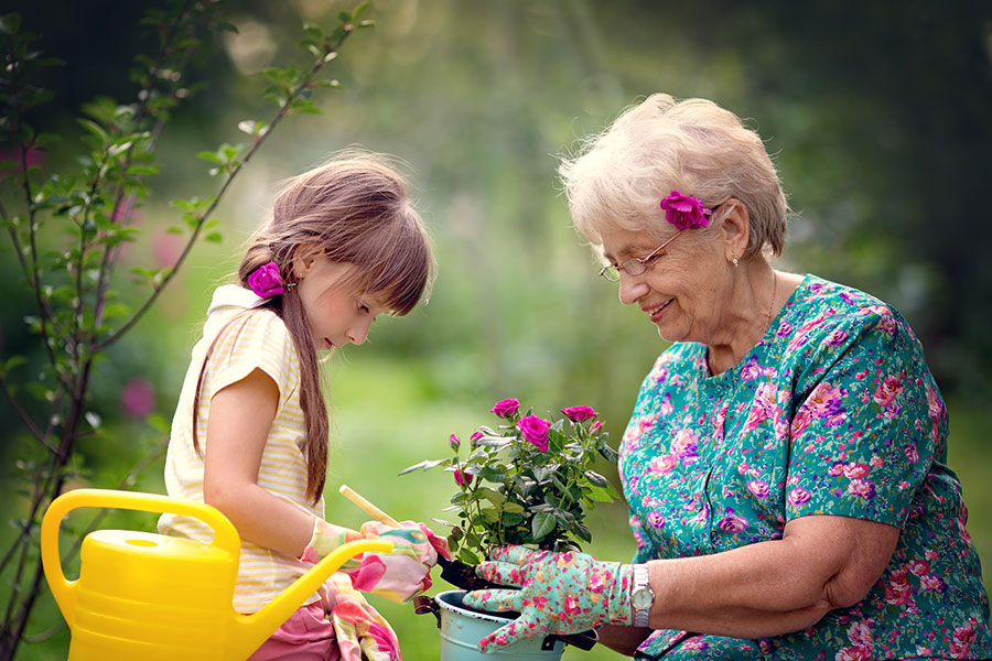 Defining “Best Interest of the Child” | Bloom Law Office, West New York