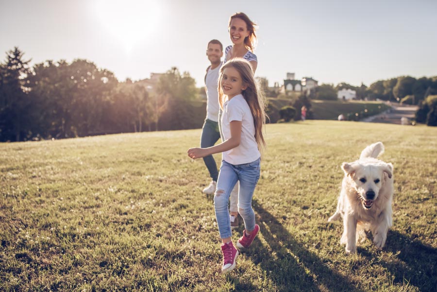 Happy Divorce Day! | Bloom Law Office, West New York