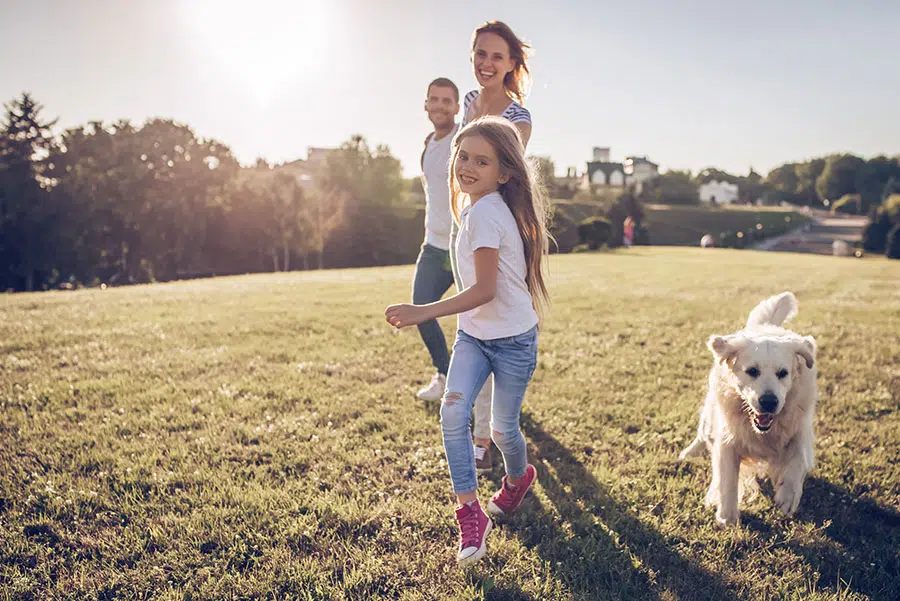 Happy Divorce Day! | Bloom Law Office, West New York