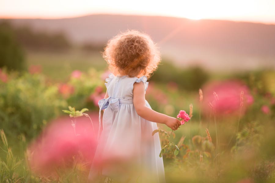 Income for Child Support: What Judges See | Bloom Law Office, West New York
